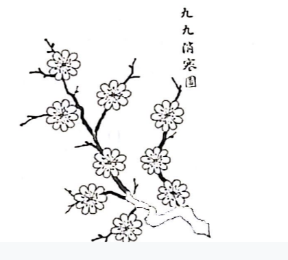 2024年11月24日四川省事业单位考试《公共基础知识》试题(网友回忆版)(题目+解析+答案)(图1) 2024年11月24日四川省事业单位考试《公共基础知识》试题(网友回忆版)(题目+解析+答案)(图1)